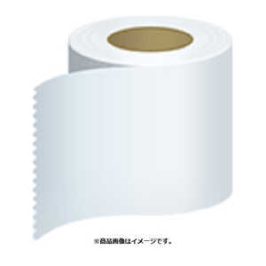 エプソン EPSON ラベルプリンター用紙 普通紙連続ラベル C34SB003 エプソン EPSON ラベルプリンター用紙 普通紙連続ラベル C34SB003