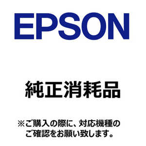 エプソン　EPSON 普通紙連続ラベル 10巻入り ラベル幅83(W)mm 約50m/巻 C34SA011