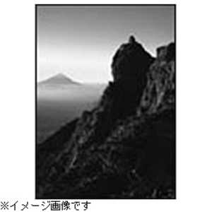 エプソン EPSON プレミアムサテンキャンバス(約1118mm幅×12.2m) PXSSCV44R エプソン EPSON プレミアムサテンキャンバス(約1118mm幅×12.2m) PXSSCV44R