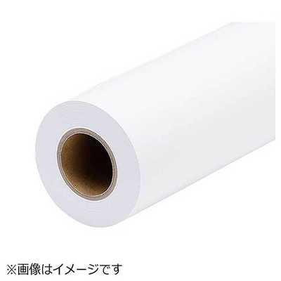 エプソン EPSON MC厚手マット紙ロール(約841mm幅×25m) MCSPA0R4 の通販