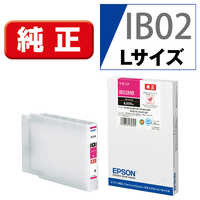 エプソン EPSON 純正インクカートリッジ 黒 IB02KB の通販 | カテゴリ 