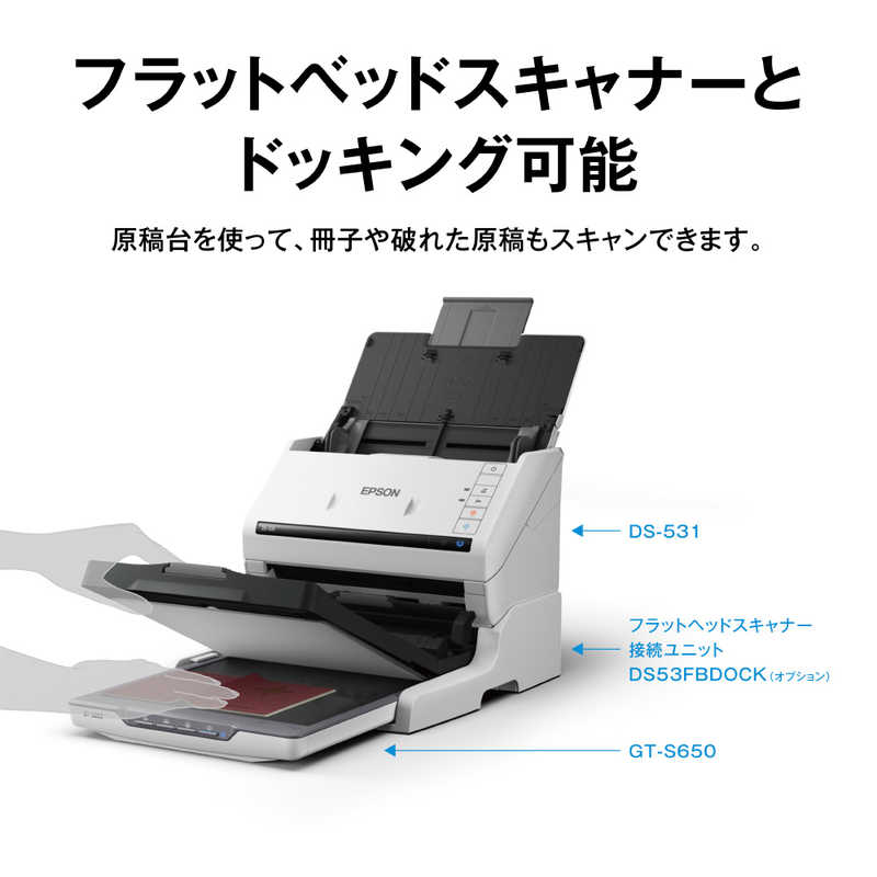 エプソン　EPSON エプソン　EPSON スキャナー パーソナルドキュメント ホワイト [A4サイズ /USB] DS-531 DS-531