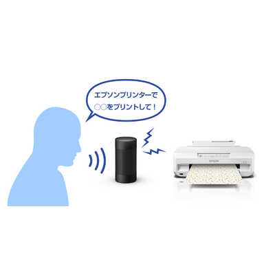 エプソン EPSON A4カラーインクジェットプリンター Colorio(カラリオ