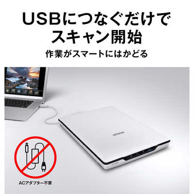 エプソン EPSON スキャナー フォト・グラフィック [A4サイズ /USB] GT