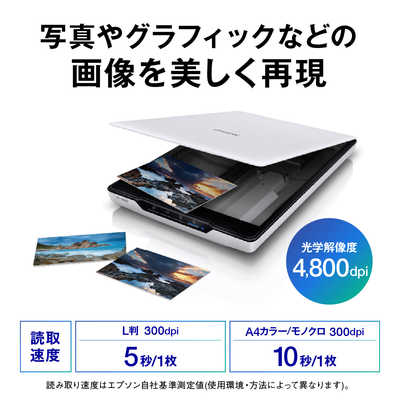 エプソン EPSON スキャナー フォト・グラフィック [A4サイズ /USB] GT