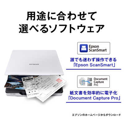 エプソン EPSON スキャナー フォト・グラフィック [A4サイズ /USB] GT