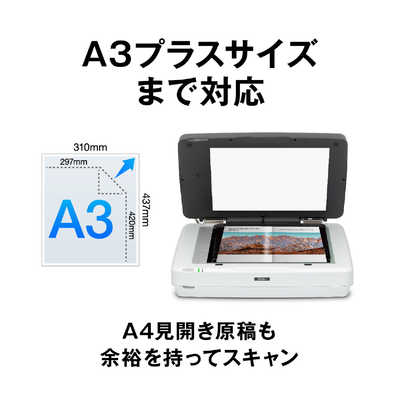 エプソン EPSON スキャナー フォト・グラフィック [A3サイズ /USB] DS 