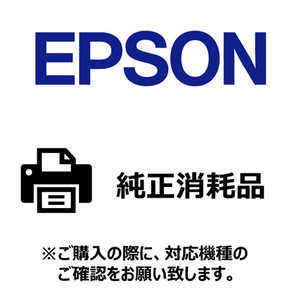 エプソン EPSON ラベルプリンター用紙＜普通紙＞レシート NP1N1054F