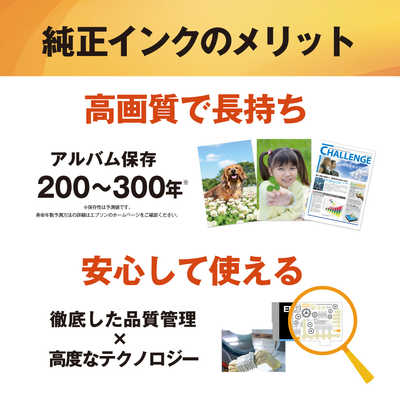 エプソン EPSON 純正プリンターインク 4色パック IC4CL6165B の通販