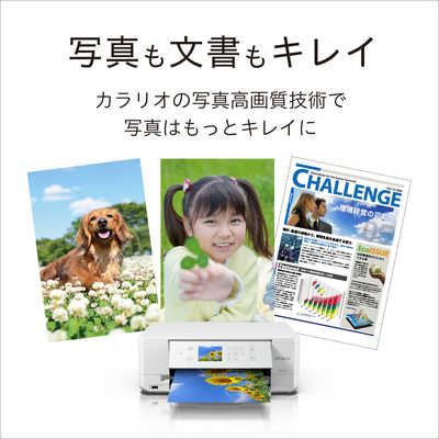 エプソン EPSON A4カラーインクジェット複合機プリンター Colorio ［L