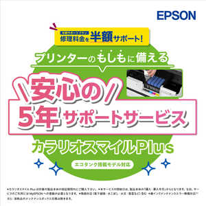 EPSON EP-M553T せつなく メンテナンスボックス交換済み エコタンク EPSON EP-M553T せつなく メンテナンスボックス交換済み エコタンク