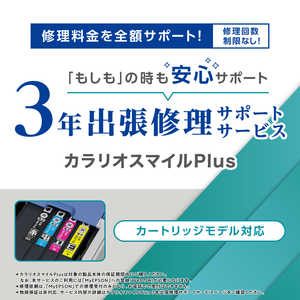 �G�v�\�� EPSON �J�����I�X�}�C��Plus 3�N�o���C�� �J�[�g���b�W���f�� �S�z�T�|�[�g SL200CD3