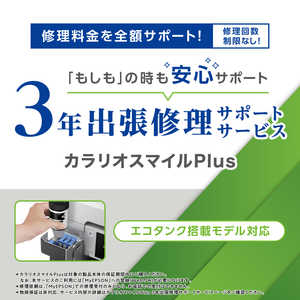 �G�v�\�� EPSON �J�����I�X�}�C��Plus 3�N�o���C�� �G�R�^���N���ڃ��f�� �S�z�T�|�[�g SL300TD3