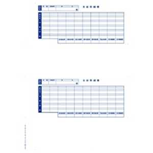 オービック 単票封筒用支給明細書 (300枚入:600片) 09SP6202 オービック 単票封筒用支給明細書 (300枚入:600片) 09SP6202