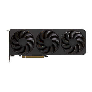 玄人志向 ［Radeon RXシリーズ / 16GB］ RDRX9070GREE12GBTP