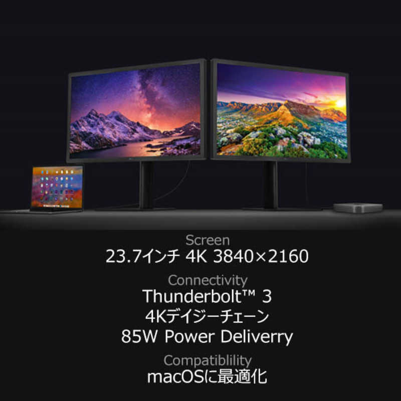 LG LG Mac専用4Kモニター UltraFine [23.7型 /4K(3840×2160） /ワイド] 24MD4KL-B 24MD4KL-B