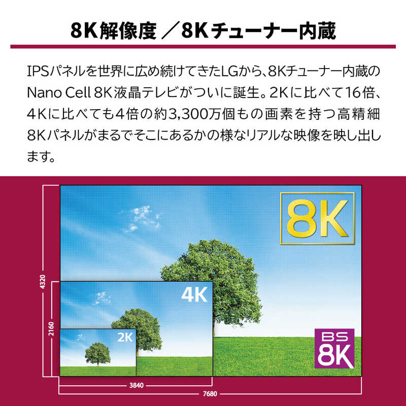 LG LG 65V型8K対応液晶テレビ[8Kチューナー内蔵/4Kダブルチューナー内蔵/YouTube対応]ブラック 65NANO99JNA 65NANO99JNA