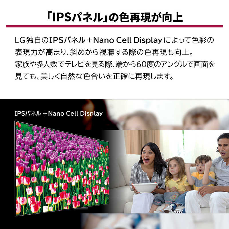 LG LG 55V型4K対応液晶テレビ[4Kチューナー内蔵/YouTube対応]ブラック 55NANO91JNA 55NANO91JNA