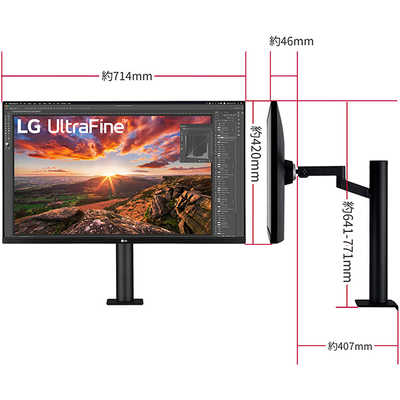 LG PCモニター Ergo ブラック [31.5型 /4K(3840×2160） /ワイド