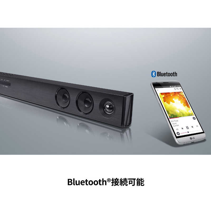 LG LG ホームシアター （サウンドバー）[フロント・バー /Bluetooth対応] SK1D ブラック SK1D ブラック