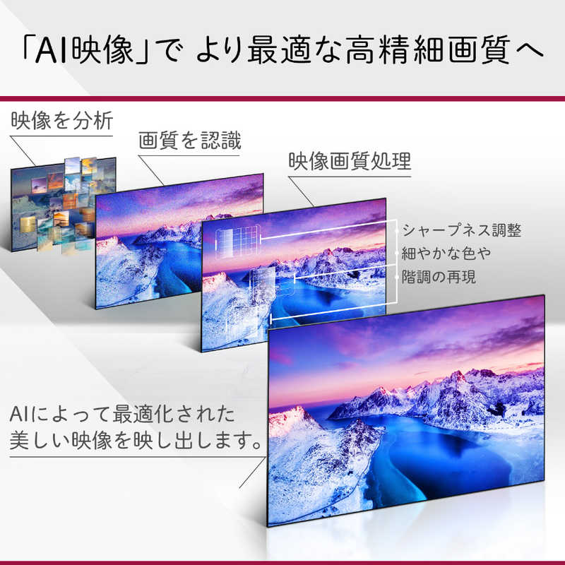 LG LG 有機ELテレビ 48V型 4Kチューナー内蔵 OLED48A1PJA　 OLED48A1PJA　