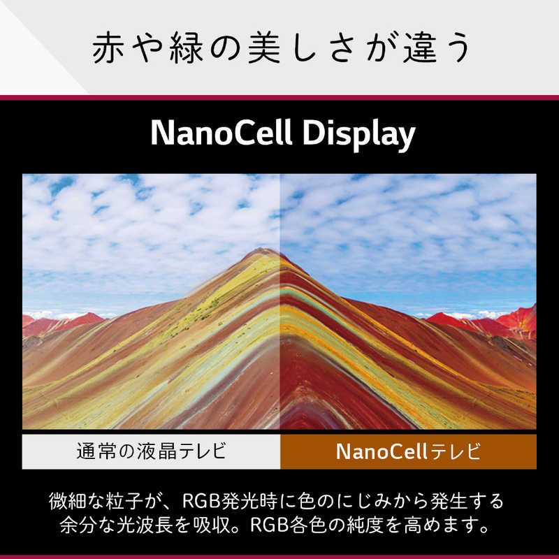 LG LG 液晶テレビ 65V型 4Kチューナー内蔵 65NANO76JPA 65NANO76JPA