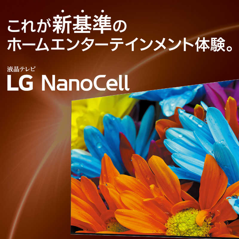 LG LG 50V型 4K対応液晶テレビ  [BS・CS 4Kチューナー内蔵 /YouTube対応 /Bluetooth対応] 50NANO76JPA 50NANO76JPA