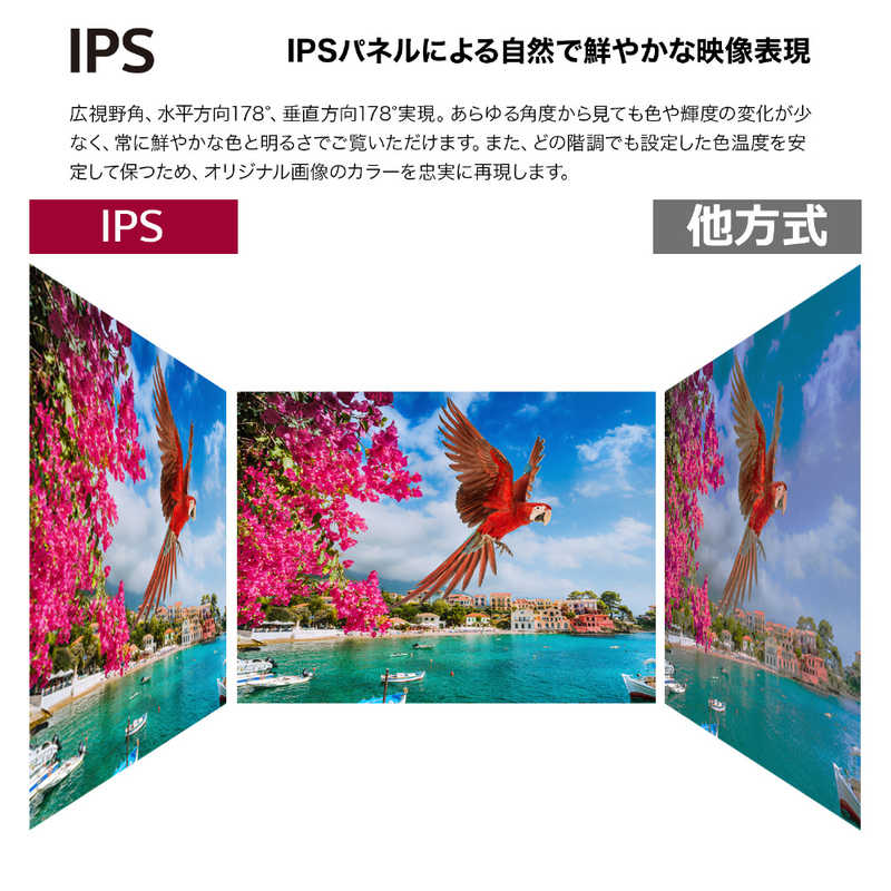 LG LG PCモニター [27型 /4K(3840×2160） /ワイド] 27UP550-W 27UP550-W