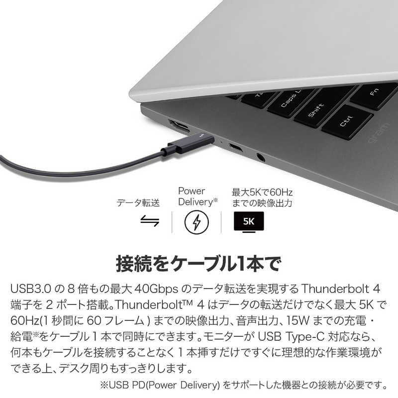 LG LG ノートパソコン gram クオーツシルバー [17.0型 /intel Core i7 /メモリ：16GB /SSD：1TB /2021年11月] 17Z95P-KA79J 17Z95P-KA79J