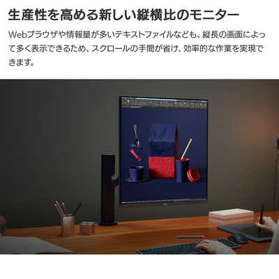 LG PCモニター DualUp Monitor ブラック [27.6型 /SDQHD(2560×2880