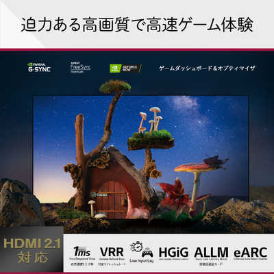LG 有機ELテレビ OLED TV ( オーレッド・テレビ ) [ 77V型 / 4K対応