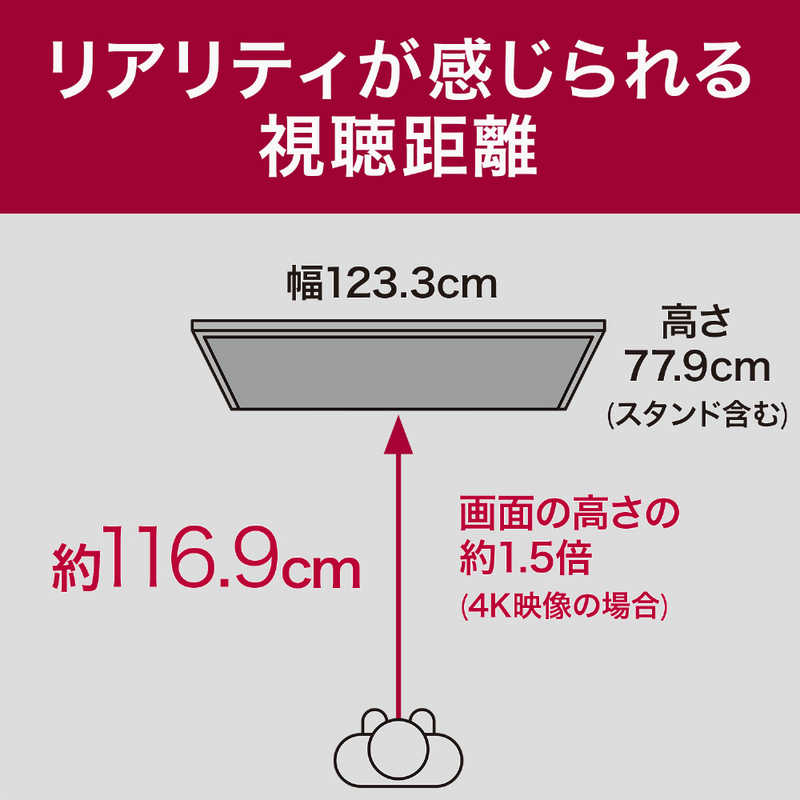 LG LG 液晶テレビ [55V型 /Bluetooth対応 /4K対応 /BS・CS 4Kチューナー内蔵 /YouTube対応] 55QNED85JQA 55QNED85JQA