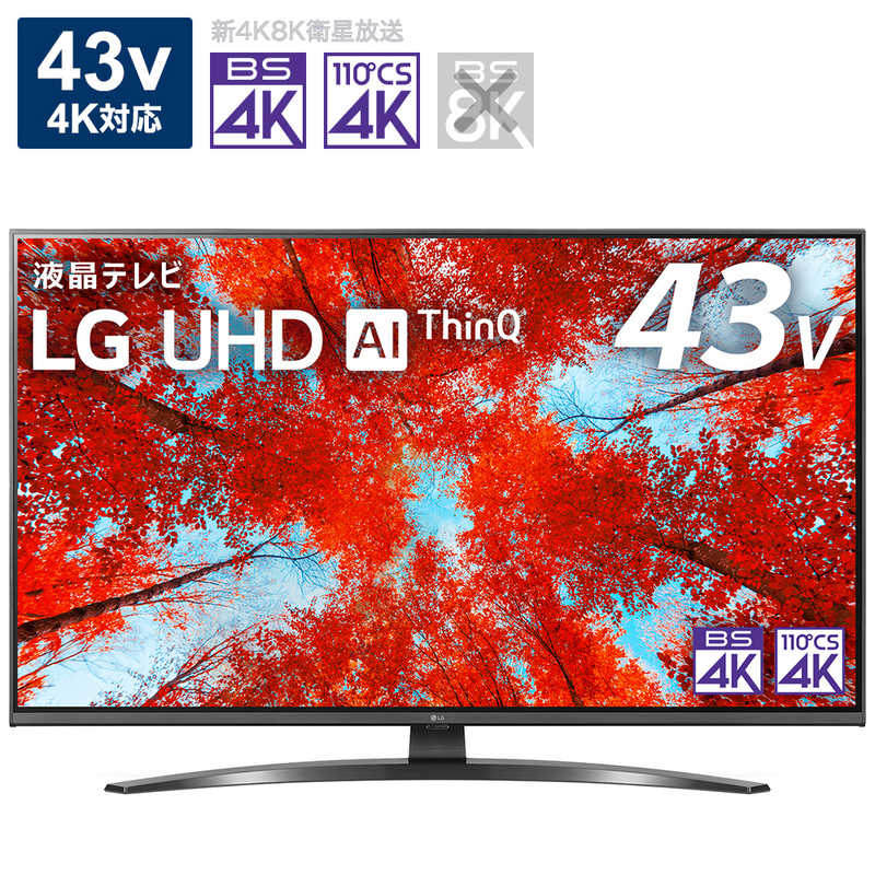 LG LG 液晶テレビ 43V型 4Kチューナー内蔵 43UQ9100PJD 43UQ9100PJD