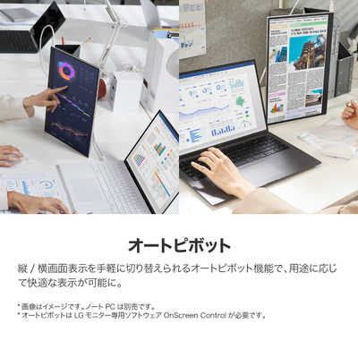 LG PCモニター gram + view [16型 /WQXGA(2560×1600） /ワイド 