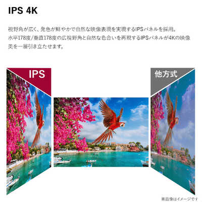 LG PCモニター [27型 /4K(3840×2160） /ワイド] 27BP85UN-W の通販