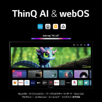 LG 有機ELテレビ [ 65V型 / 4K対応 / BS・CS 4Kチューナー内蔵