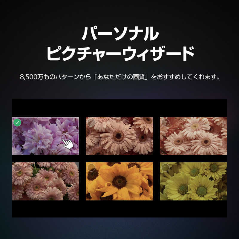 LG LG 有機ELテレビ [ 75V型 / 4K対応 / BS・CS 4Kチューナー内蔵 / YouTube 対応 ] OLED77B3PJA OLED77B3PJA