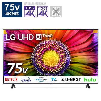 LG　4K 　Miniled 75インチ　テレビ 75 inch Class LG QNED90 MiniLED 4k Smart TV 75QNED90UQA | LG USA