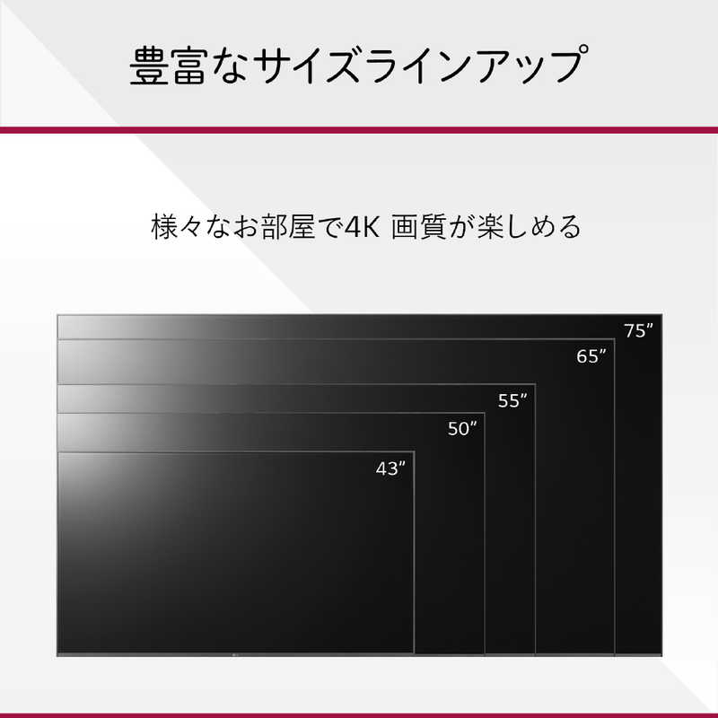LG LG 液晶テレビ 50V型 4Kチューナー内蔵 50UR8000PJB 50UR8000PJB