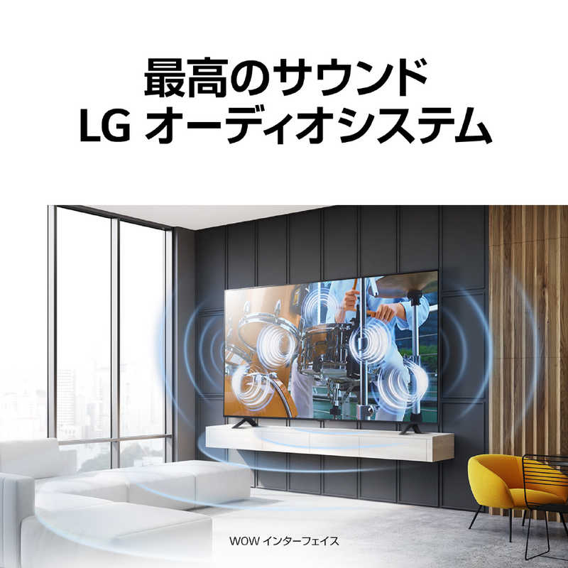LG LG 液晶テレビ液 43V型 4Kチューナー内蔵 43UR8000PJB 43UR8000PJB