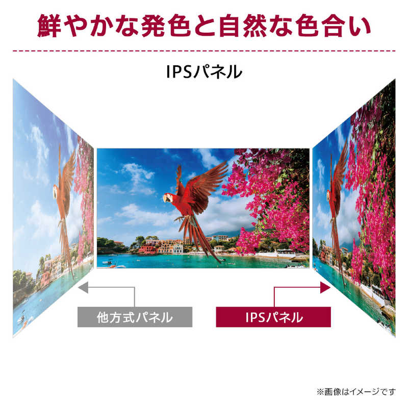 LG LG PCモニター ［23.8型 /フルHD(1920×1080) /ワイド］ 24MS550-B 24MS550-B