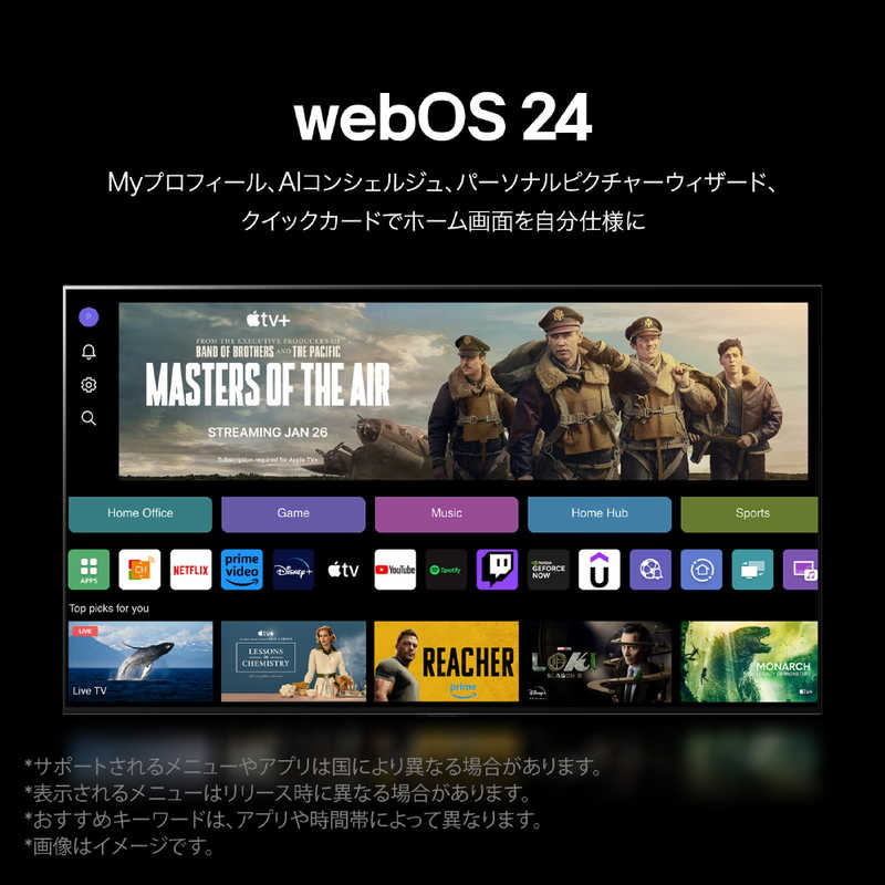 LG LG 有機ELテレビ [48V型 /Bluetooth対応 /4K対応 /BS・CS 4Kチューナー内蔵 /YouTube対応] OLED48B4PJA OLED48B4PJA
