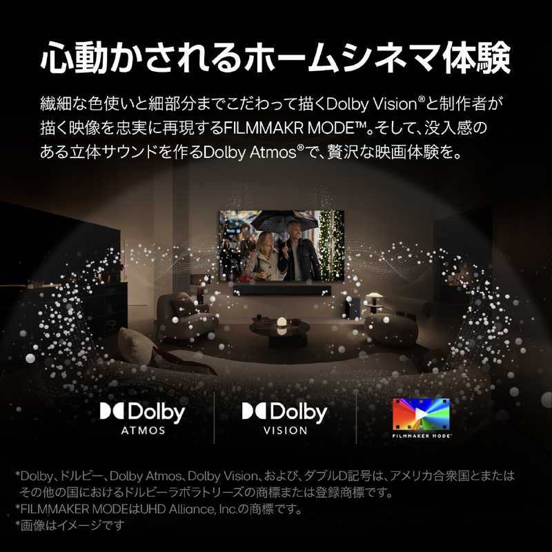 LG LG 有機ELテレビ [48V型 /Bluetooth対応 /4K対応 /BS・CS 4Kチューナー内蔵 /YouTube対応] OLED48B4PJA OLED48B4PJA