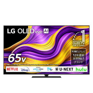 LG ͭELƥ 65V / 4Kб / BS 4K塼ʡ¢ / YouTubeб / Netflixб OLED65G5PJB