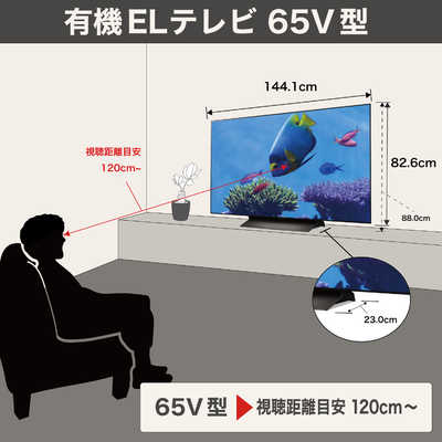 LG 有機ELテレビ ［65V型 / 4K対応 / BS 4Kチューナー内蔵 / YouTube