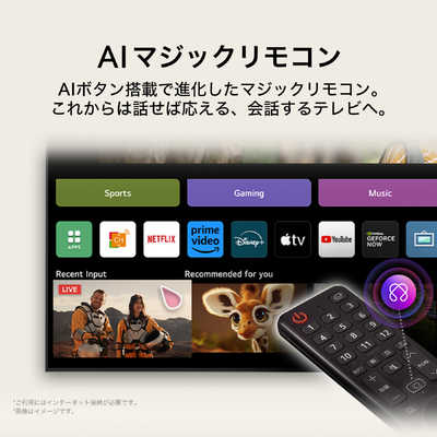 LG 有機ELテレビ OLED C5 65V型 4K対応 4Kチューナー内蔵 YouTube対応