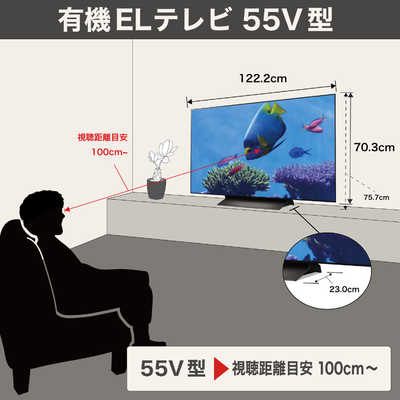 LG 有機ELテレビ OLED C5 55V型 4K対応 4Kチューナー内蔵 YouTube対応