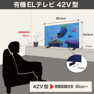 LG 有機ELテレビ [ 42V型 / 4K対応 / 4Kチューナー内蔵 / YouTube 対応