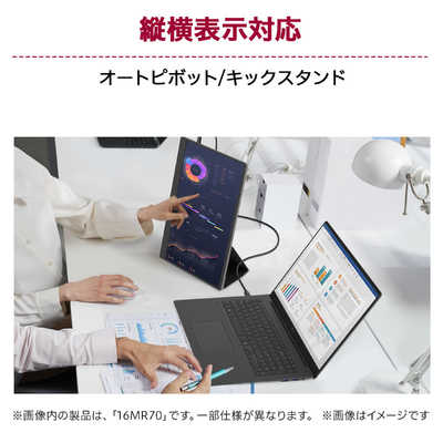 LG USB-C接続モバイルモニター gram ＋view ［17型 /WQXGA(2560×1600