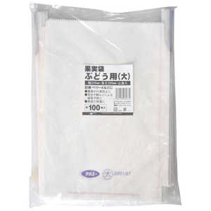 {}^C ʎ܃uhEp N100V JWcuNuhEE_C